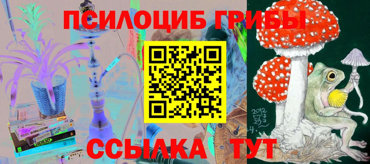 Псилоцибиновые грибы Cubensis Ханты-Мансийск